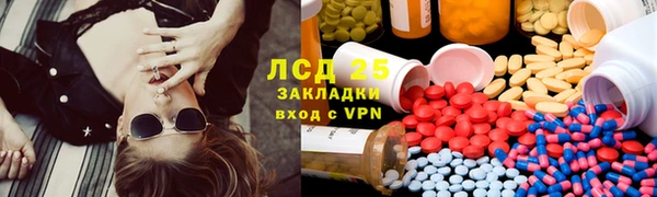 spice Дмитриев
