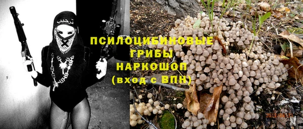мдпв Ельня