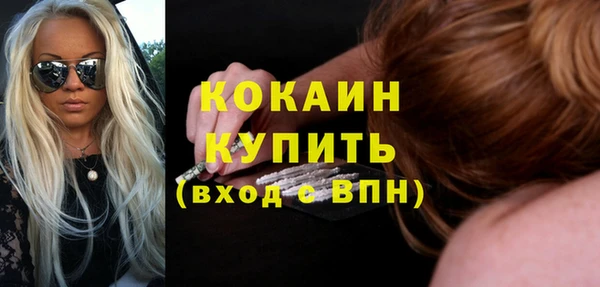 spice Дмитриев