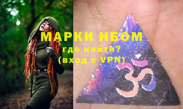мдпв Ельня