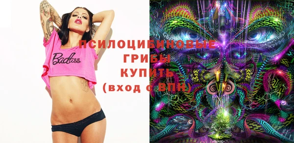 прущий лед Дмитров