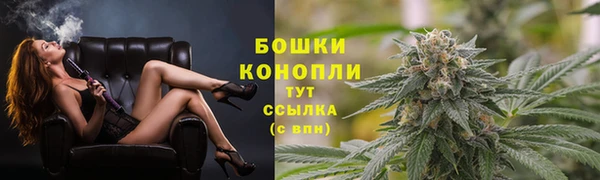 мдпв Ельня