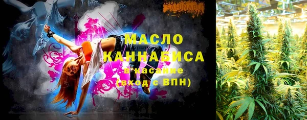 spice Дмитриев