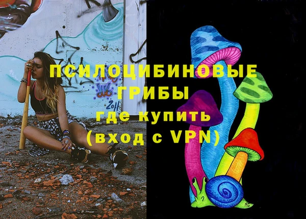 spice Дмитриев