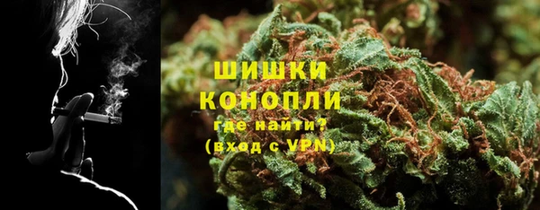 мдпв Ельня