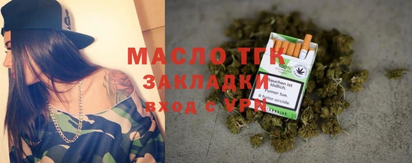 spice Дмитриев