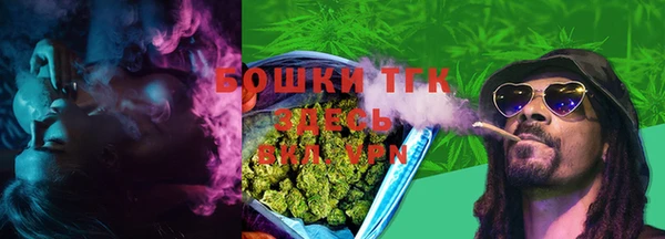 spice Дмитриев
